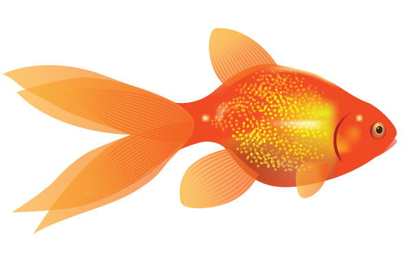 600x370 How To Create A Vector Goldfish In Six Steps