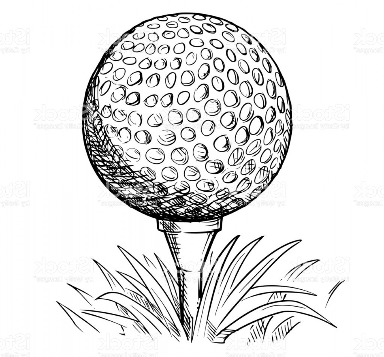 1228x1140 Vector Hand Drawing Of Golf Ball On Tee Gm Rongholland