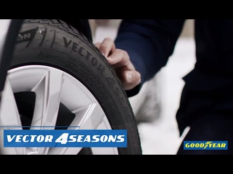 480x360 Vector 4seasons