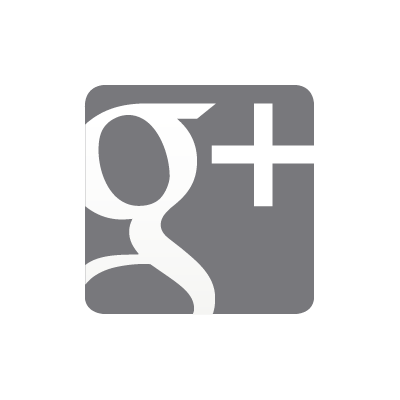 400x400 Google Plus Grey Vector Logo