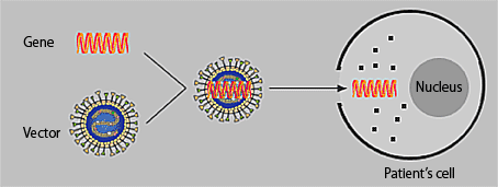 454x171 Dnavec Corporation Gt Glossary