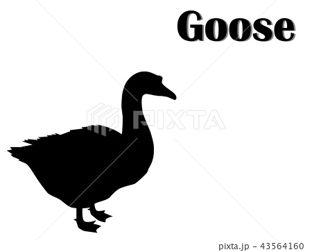 450x363 Duckgoosegeese Vectors