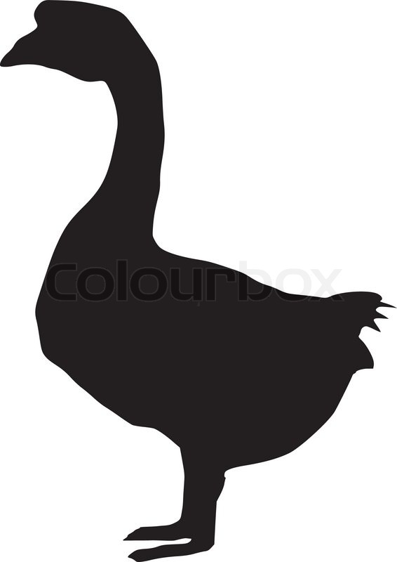 566x800 Silhouette Of Goose Stock Vector Colourbox