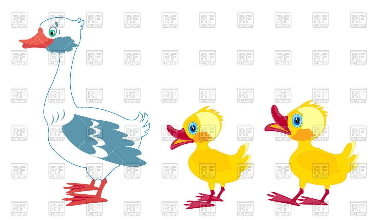1200x700 Brood Of Geese Vector Image Vector Artwork Of Plants And Animals