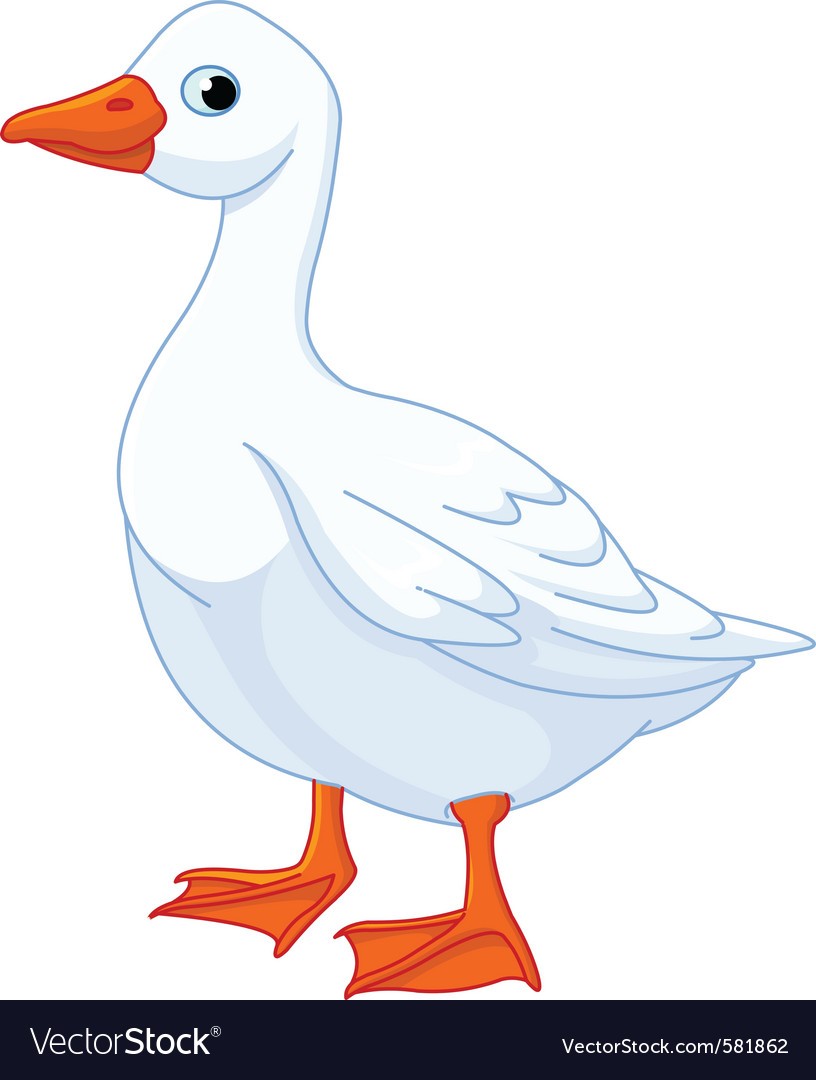 816x1080 Cartoon Goose Vector 581862 0