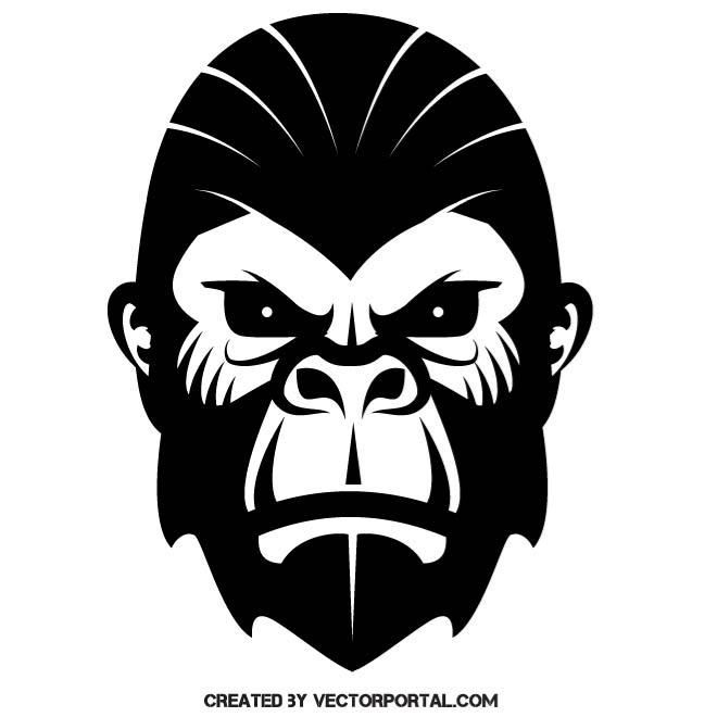660x660 Gorilla Vector Image. Animal Vectors Illustrations