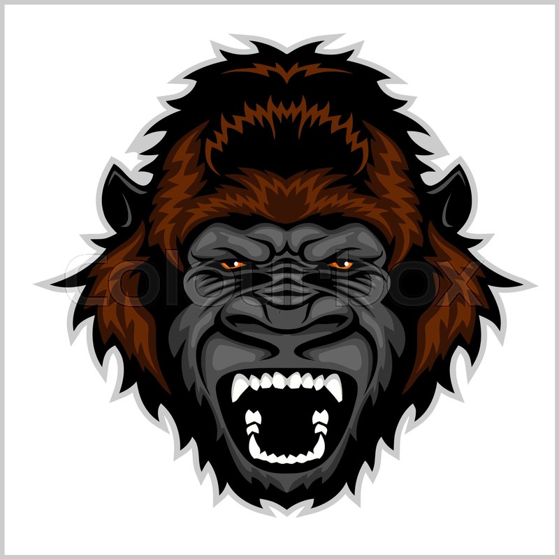 800x800 Gorilla Head Cartoon