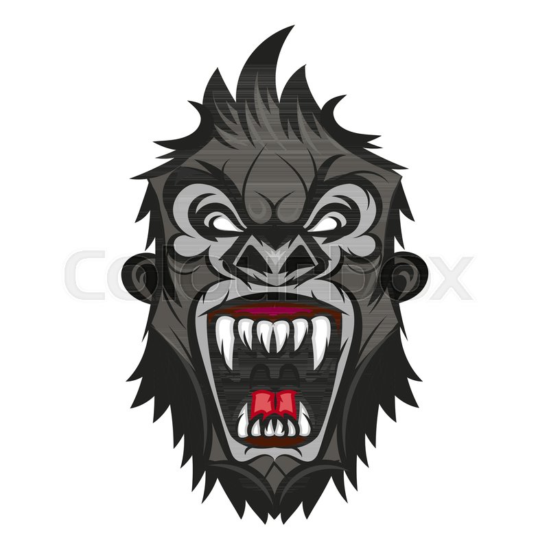 800x800 Gorilla Head Vector, Monkey Head Vector, Ape Face Logo Stock