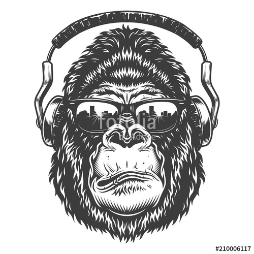 500x500 Head Of Gorilla Stock Image And Royalty Free Vector Files On