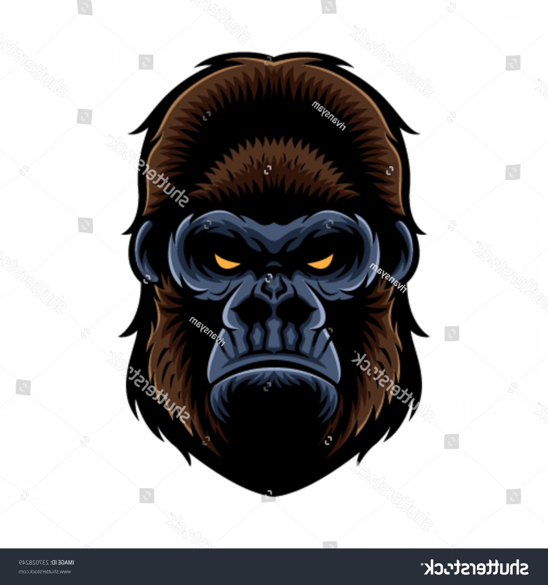 1800x1920 Shutterstock Gorilla Head Vector Graphic Shopatcloth