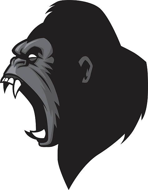 475x612 Angry Gorilla Head Vector Id533997727 Kong A.