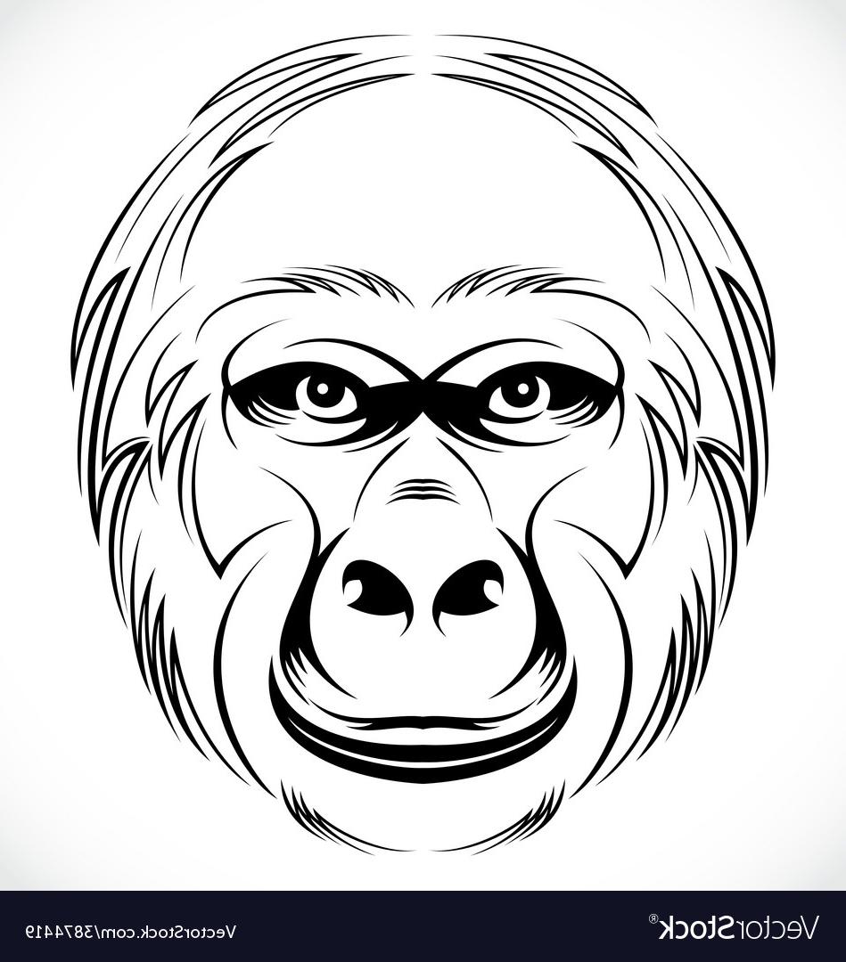 949x1080 Best 15 Gorilla Head Vector Image