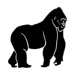 300x300 Gorilla Vector Image
