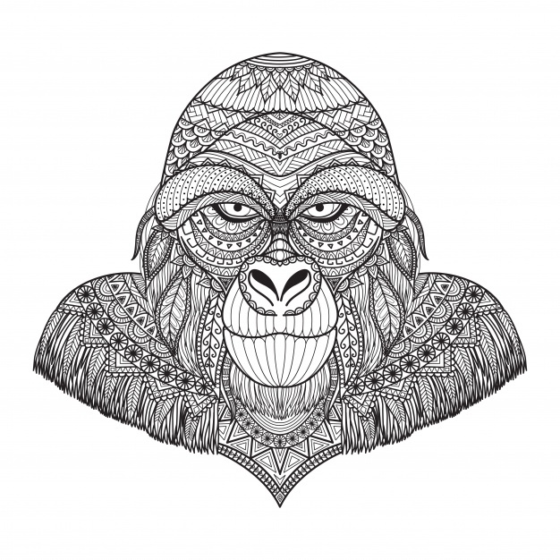 626x626 Gorilla Vectors, Photos And Psd Files Free Download