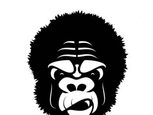 310x233 Gorilla Vector Graphics Free Vectors Ui Download