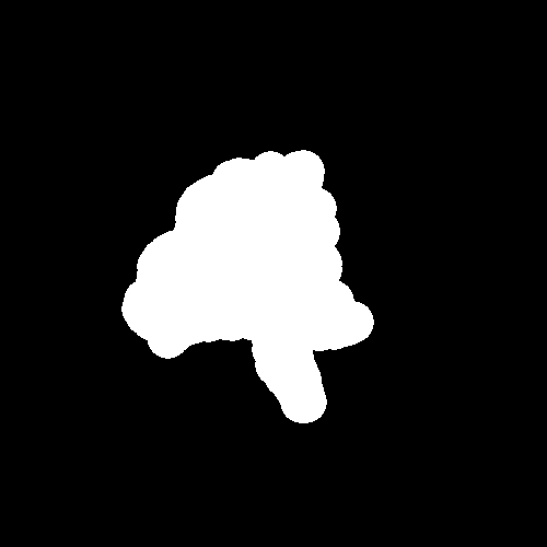 500x500 Image Gradient Vector Field In Python