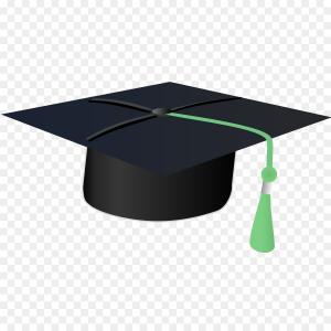 300x300 Graduation Cap Vector Icon Illustration Flat Orangiausa