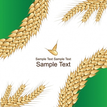 369x368 Wheat Grain Vector Free Vector Download (493 Free Vector) For