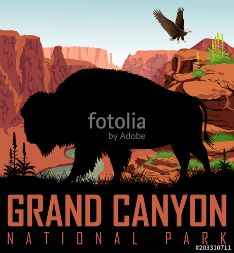 461x500 Vector Colorado River In Grand Canyon National Park With Buffalo