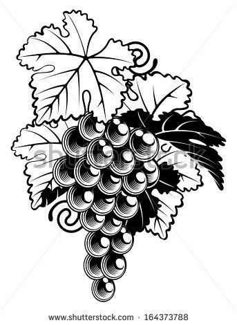 343x470 Grape Leaf Vector Free Vector Download (3,631 Free Vector) For