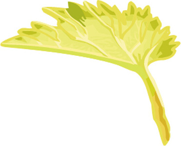 371x300 Grape Leaf Vector Free Vector Download (4,392 Free Vector) For