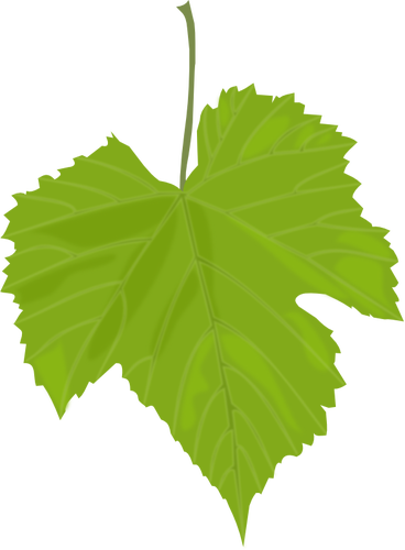 368x500 Grape Leaf Vector Image Public Domain Vectors