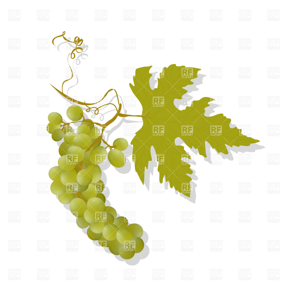 1200x1200 Bunch Of Grapes And Leaf Vector Image Vector Artwork Of Plants