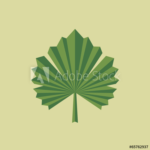 500x500 Green Grape Leaf