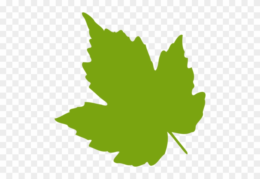 840x580 Green Maple Leaf Vector Image Public Domain Vectors