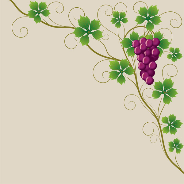 600x600 Purple Grapes And Grape Leaves Vector Free Vector 4vector