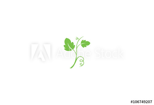 500x342 Grape Leaf Vector Illustration Isolated On White Background Logo
