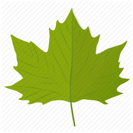 512x512 Collection Of Free Leaves Vector Grape. Download On Ubisafe