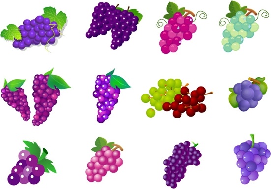 551x386 Fruit Of Grapes Vector Free Vector In Adobe Illustrator Ai ( .ai