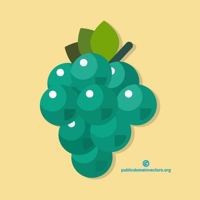 660x660 Grape Vector Illustration