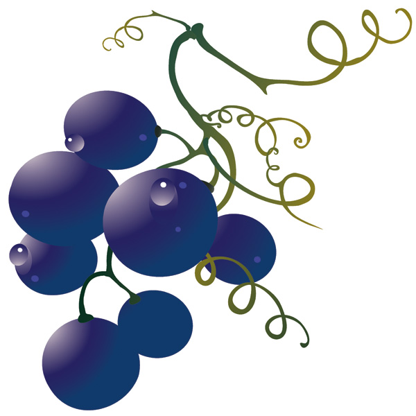 600x600 Grape And Wine Vector Free Vector 4vector