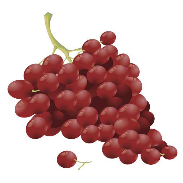 620x620 Grape Vector
