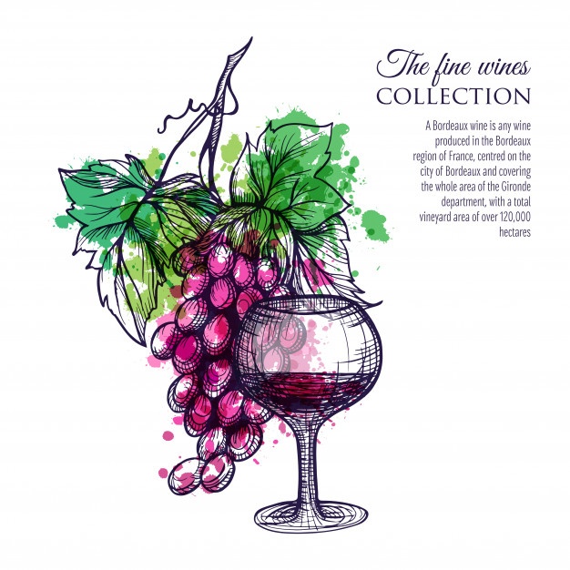 626x626 Grapes Vectors, Photos And Psd Files Free Download