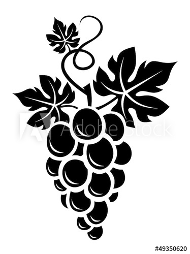 374x500 Black Silhouette Of Grapes. Vector Illustration.