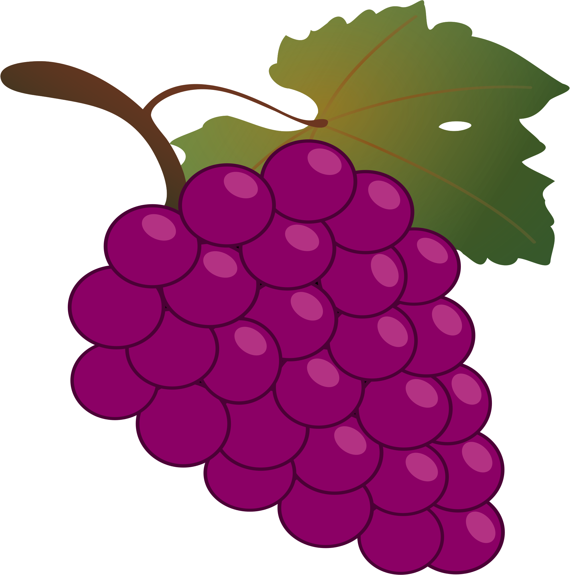 2000x2021 Grapes Vector
