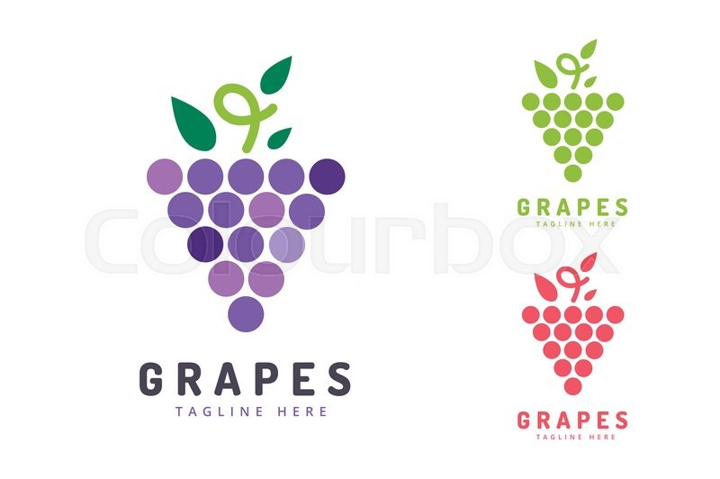 800x532 Grapes Vector Isolated. Grapes Icon. Grapes Logo. Grapes Wine Or