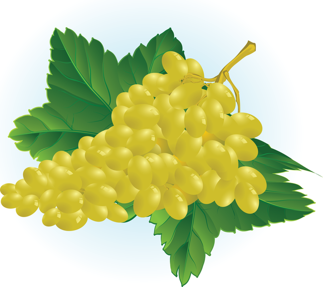 641x570 Free Grape Vector Illustration