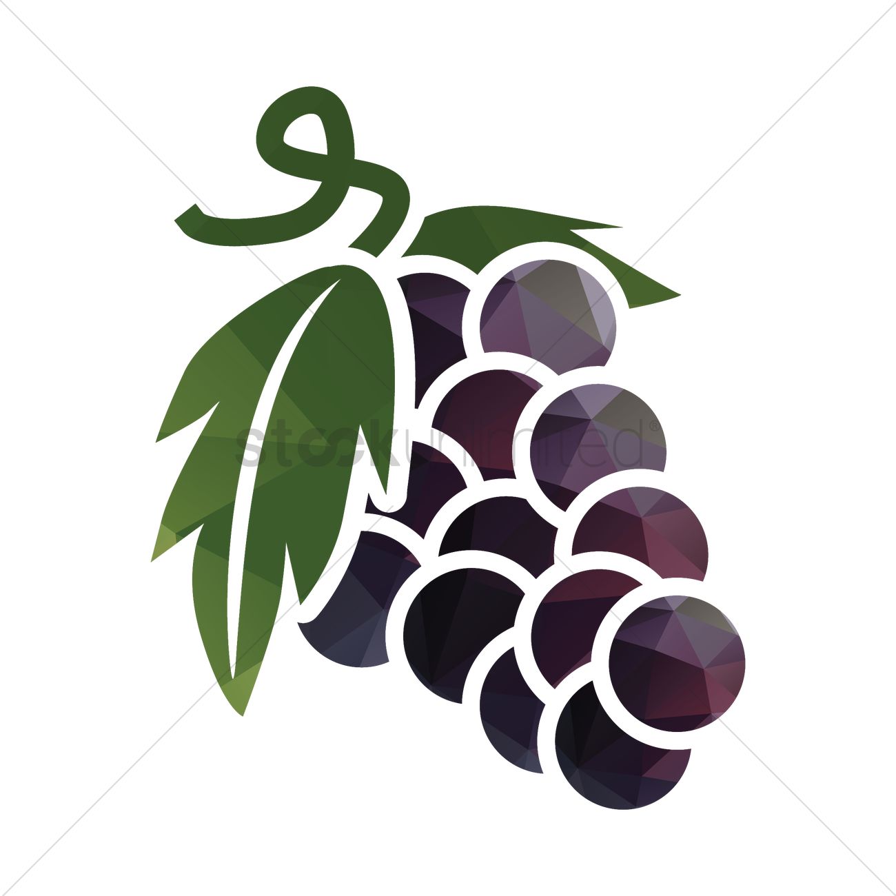 1300x1300 Free Grapes Vector Image