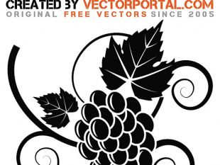 310x233 Grapes Graphics Free Vector Free Vectors Ui Download