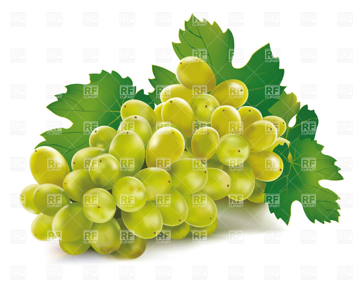 1200x960 Green Grape Vector Image Vector Artwork Of Food And Beverages