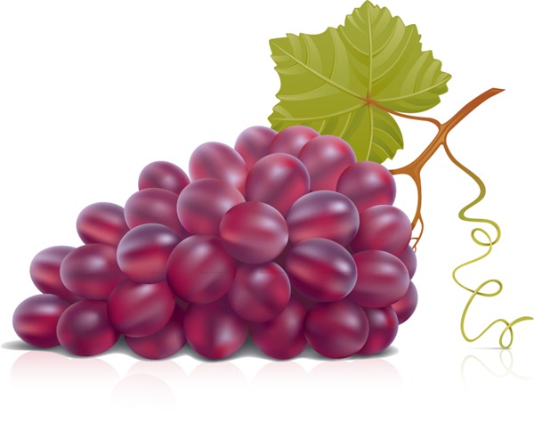 600x484 Purple Grapes Vector Graphics My Free Photoshop World