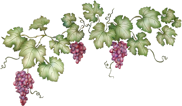 625x366 Collection Of Free Grape Vector Border. Download On Ubisafe
