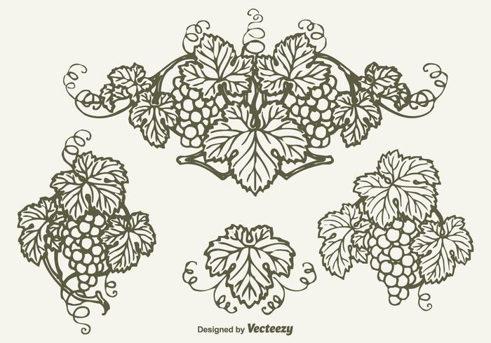 700x490 Drawn Bunch Of Grapes Vector Design