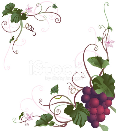 391x440 Grape Vine Border Stock Vector