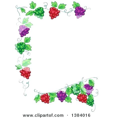 450x470 Grape Vine Design
