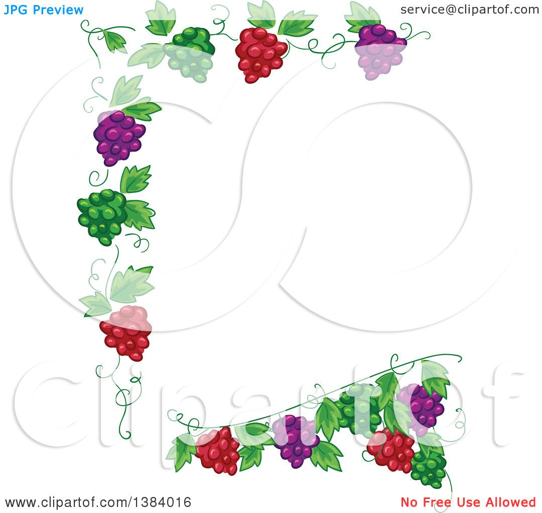 1080x1024 Clipart Of A Green, Red And Purple Grape Vine Border